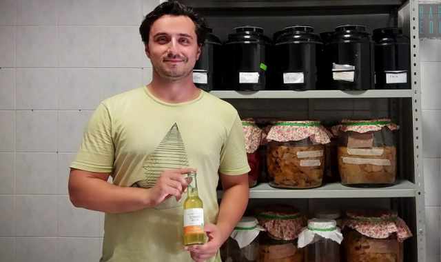 Alla scoperta del Kombucha: millenario "elisir di lunga vita" prodotto a Bari 